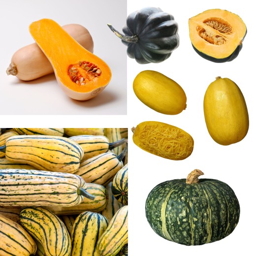 (P5) Courges variées