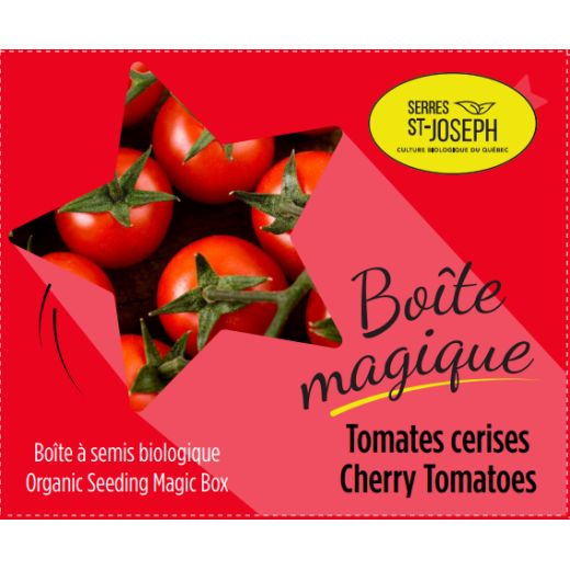 Boîte magique Tomates cerises rouge