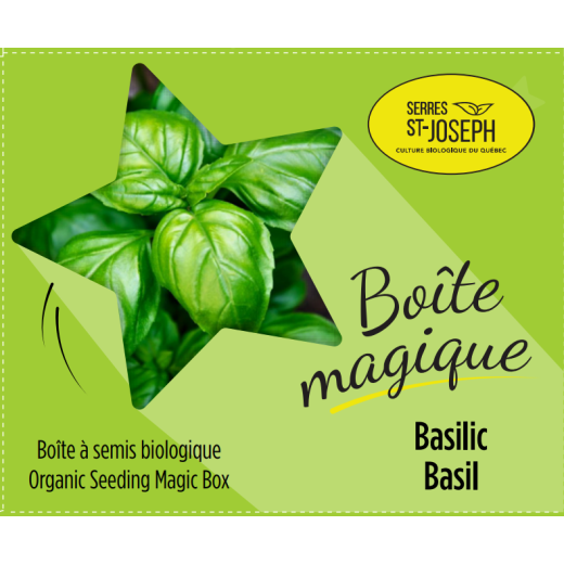 Boîte magique Basilic