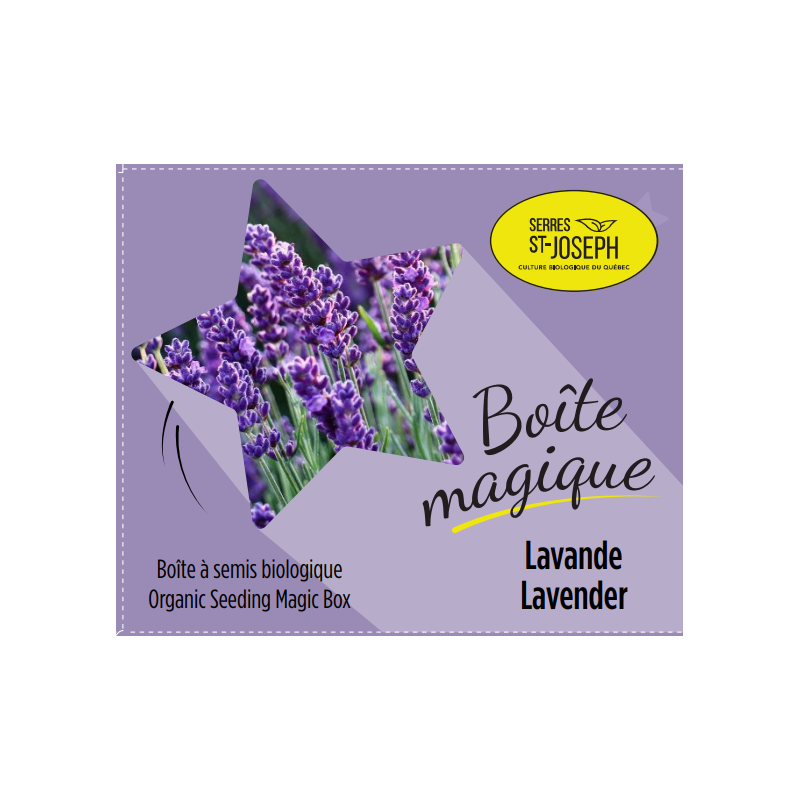 Boîte magique Lavande