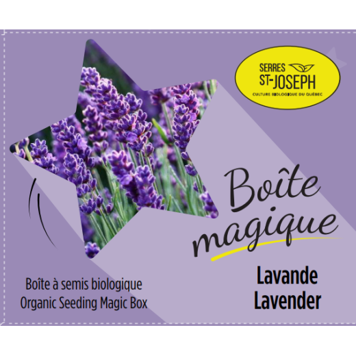 Boîte magique Lavande