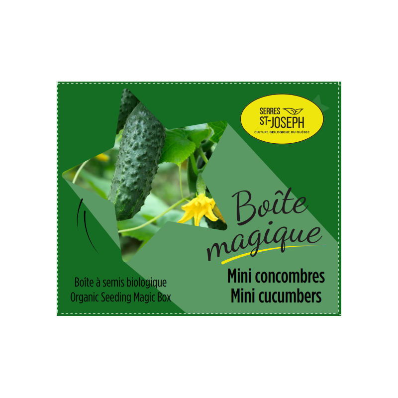 Boîte magique Mini-concombres