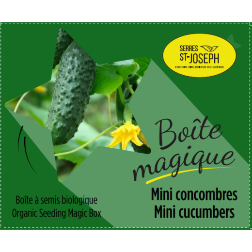 Boîte magique Mini-concombres