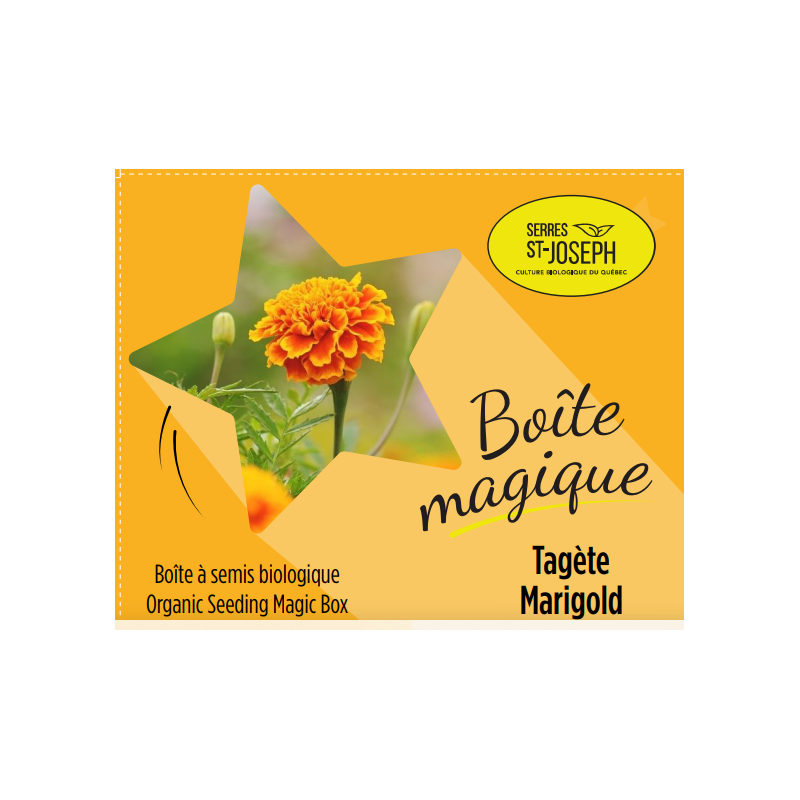 Boîte magique Tagète