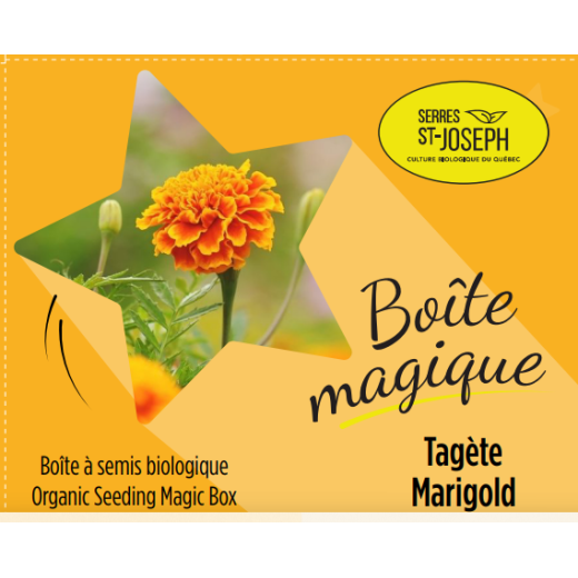 Boîte magique Tagète