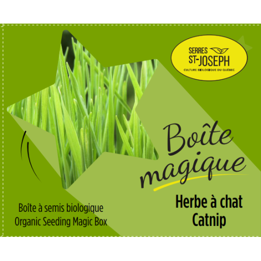 Boîte magique Herbe à chat