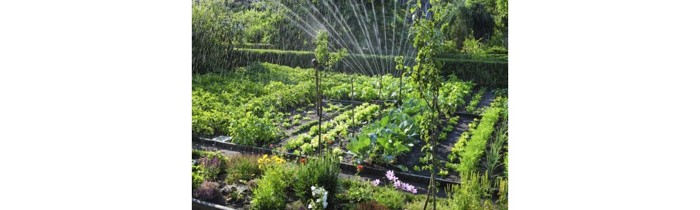 * Centre jardin et potager